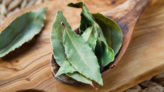 Aromaterapia z liściem laurowym – naturalny zapach w Twoim domu