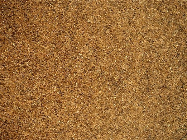 Kminek czeski mielony - 100 g
